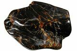 Wide Piece Of Polished Indonesian Amber - Massive! #176132-2